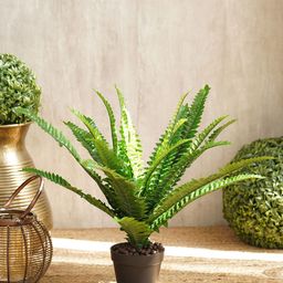 Pure Home and Living Green Artificial Boston Ferns Plants-picture-29