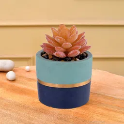 TAYHAA Blue & Gold Toned Printed Sucullent Artificial Plant With Pot-picture-42