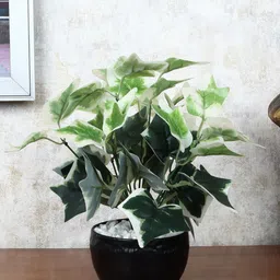 FOLIYAJ Green & Black Faux Ivy Plant With Pot-picture-31