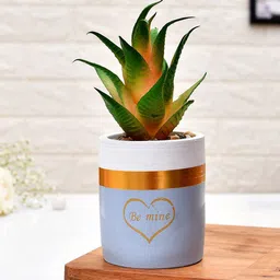TAYHAA Green & Blue Printed Sucullent Artificial Plant With Pot-picture-41