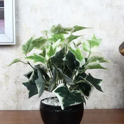 FOLIYAJ Green & Black Faux Ivy Plant With Pot-picture-5