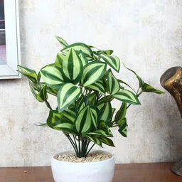 FOLIYAJ Green Faux Peperomia Plant With Pot-picture-4