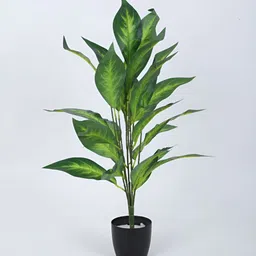 Home Bloom Green Dracaena Artificial Plant With Pot image 3