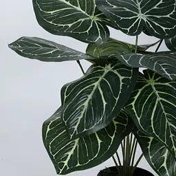 Home Bloom Green Rubber Artificial Plant With Pot image 3