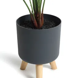 HABERE INDIA Green 1 Pieces Calathea Artificial Plant With Pot image 4