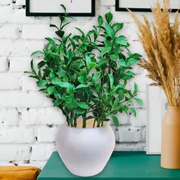 ARTSY Green Ivy Artificial Flower With Pot image 5