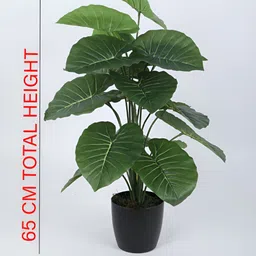 Home Bloom Green & Black Palm Artificial Plant With Pot image 4