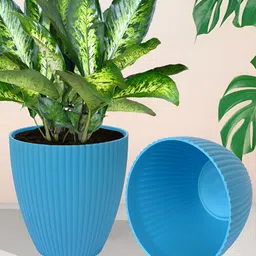 Kuber Industries Blue & Red 3 Pcs Textured Planters image 2