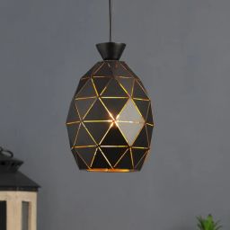 eliante by jainsons lights Opaline Black Metal Hanging Light-picture-11