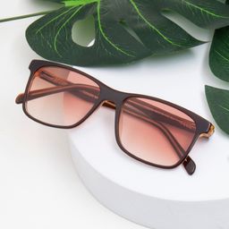 Ted Smith Unisex Wayfarer Sunglasses with Polarised Lens MCRAY_C5-picture-9