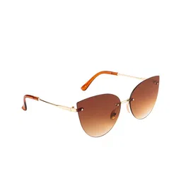 AISLIN Women Brown Lens & Gold-Toned Cateye Sunglasses with UV Protected Lens-picture-37