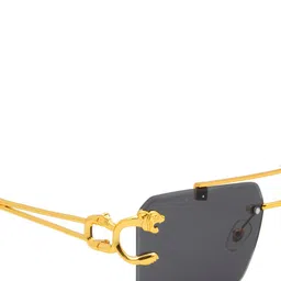 Ted Smith Unisex Aviator Sunglasses with UV Protected Lens TS-JAGUAR 2 image 4