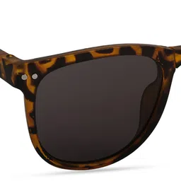 DukieKooky Kids Wayfarer Sunglasses with UV Protected Lens DKSG481B image 2