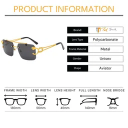 Ted Smith Unisex Aviator Sunglasses with UV Protected Lens TS-JAGUAR 2 image 5