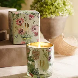 Pure Home and Living Green Jasmine Garland Wax Filled Scented Jar Candle-image-16