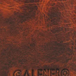 CALFNERO Men Maroon & Tan Leather Two Fold Wallet image 2