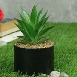 casacraft from pepperfry Polyester Dark Green Elegant Succulent With Metal Pot Artificial Plants image 1