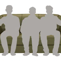 durian Berry compact Leatherette 3 Seater Sofas in Olive Green Colour image 4