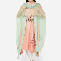 Dupatta Bazaar Sea Green Solid Organza Dupatta-image-95