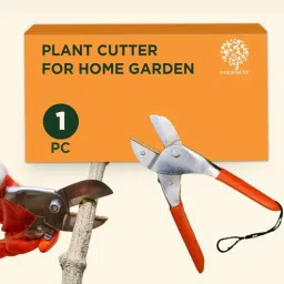 gold dust Premium Pruner Plant Cutter for Home Garden-picture-22