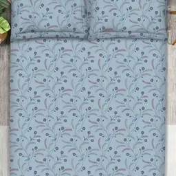 Boutique Living India Blue Printed 200 TC Pure Cotton King Bedsheet & 2 Pillow Covers image 3