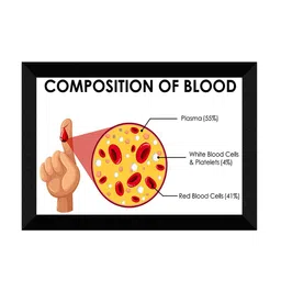 SAF Red & White Biology Theme Printed Black Framed Wall Art image 2