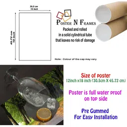 PnF Green & Beige Photographs Wall Art image 4
