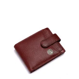 HAMMONDS FLYCATCHER Men Brown Leather RFID Protected Two Fold Wallet-image-4