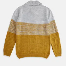 Pantaloons Junior Boys Yellow & Grey Colourblocked Pullover image 2