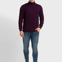 ColorPlus Men Turtle Neck Pullover Sweater image 4