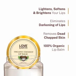 LOVE EARTH Coconut Lip Balm for Dry & Chapped Lips with Vitamin E & Shea Butter - 10g image 3