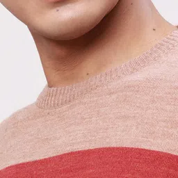 Park Avenue Men Colourblocked Pullover image 4