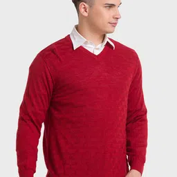 ColorPlus Men V-Neck Woolen Pullover image 5