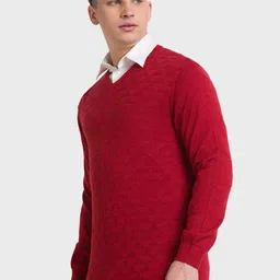 ColorPlus Men V-Neck Woolen Pullover image 2
