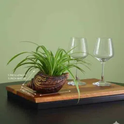 the handicraftian 12 Pcs Red Terracotta 5 Inchs Planters-picture-27