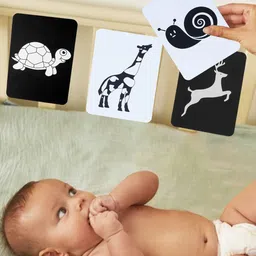 Baby Moo Infant Kids Set Of 12 High Contrast Animal Flash Cards-picture-30