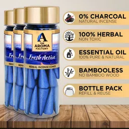 The Aroma Factory Blue 3 Pieces Wooden Fresh Active Dhoop Cone Pooja Essentials image 5