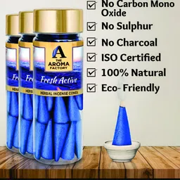 The Aroma Factory Blue 3 Pieces Wooden Fresh Active Dhoop Cone Pooja Essentials image 4