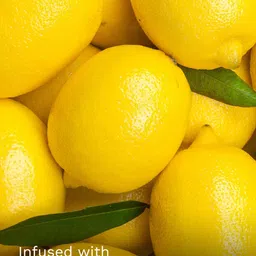 Pilgrim Lightweight Gel Based Velvety Matte Finish Glow Primer with Vit C+E Infused - 30ml image 3