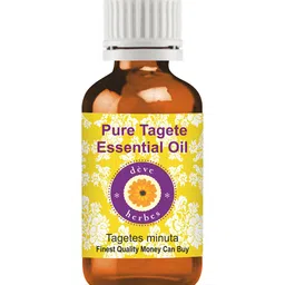 Deve Herbes Pure Tagete Essential Oil Natural Therapeutic Grade Steam Distilled 10ml-image-4