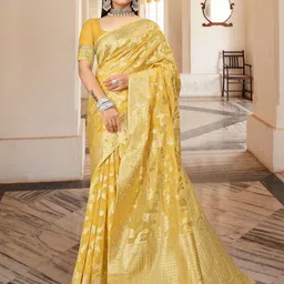Aagiri Woven Design Zari Organza Banarasi Saree-picture-33