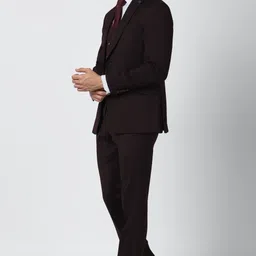 peter england Men Single Breasted Textured Suit-picture-14