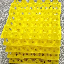 praish Egg container Egg Holder-picture-44