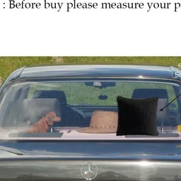 cyuteenuts Fur pillow Microfibre Solid Cushion Pack of 2 image 3