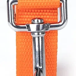 the dds store Dog & Cat Leash image 4