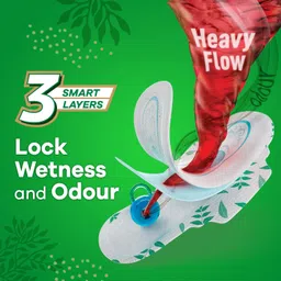 whisper Ultra Clean Sanitary Pads for Women|50 thin Pads|XL+|Hygiene & Comfort Sanitary Pad image 3