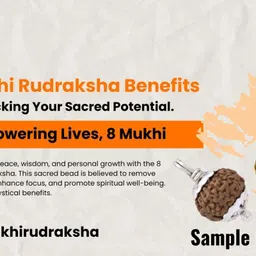 kuttumb gems & jewels 100% Lab Certified Original&Natural 8 Mukhi indonesian Rudraksha Pendant Gold-plated Brass Pendant image 2