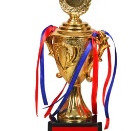 jayshri handicrafts Trophy Gift for World's Best Daughter Trophy Trophy-picture-11