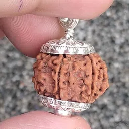beautum 7 mukhi nepali original rudraksha certified natural seven faced rudraksha Wood Pendant image 3