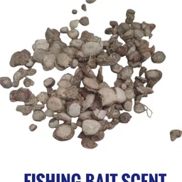 just one click Eking 50 gm Scent Fish Bait-picture-21
